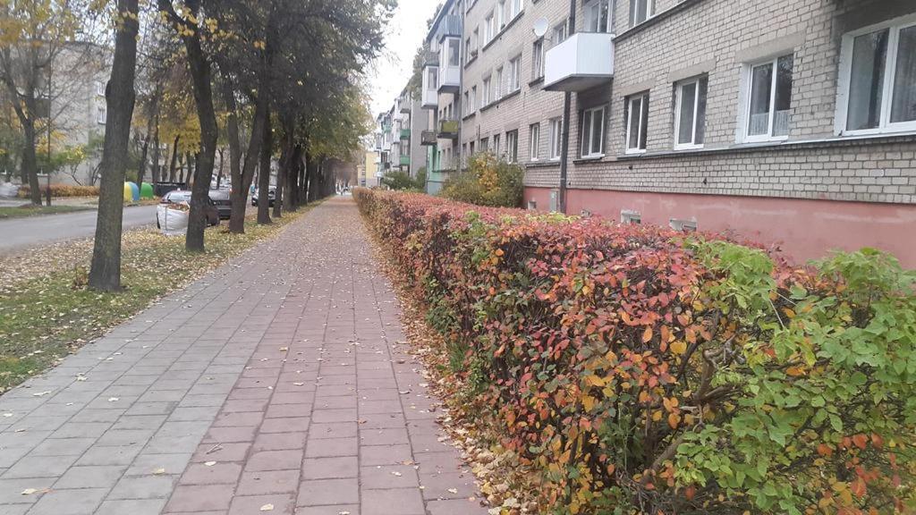 Apartment For You Šiauliai Kültér fotó